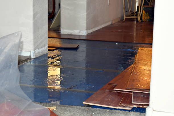 Professional Water Damage technician working in Westhoff, TX